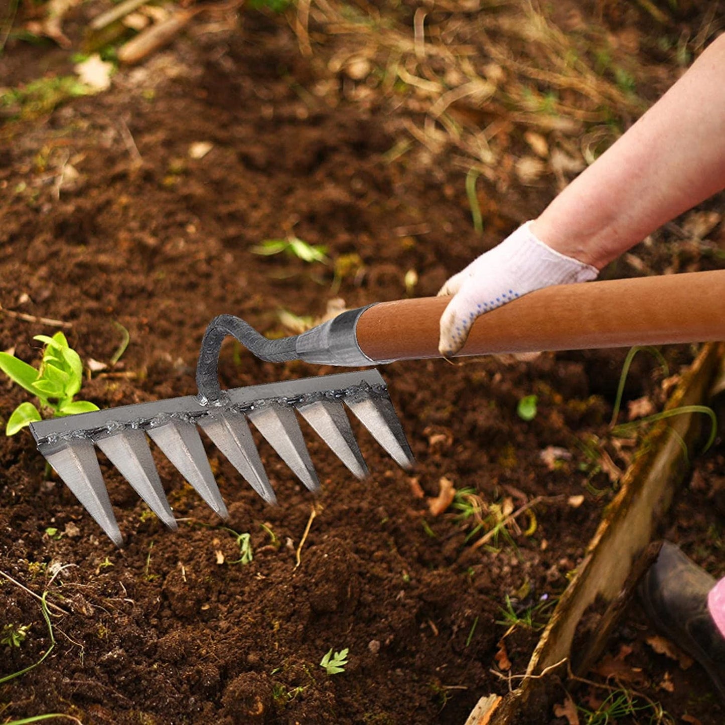 Dethatcher Rake | 4/5/6/7 Rake, Gardening Hand Tools,Weeding Dethatcher Rake with Carbon Steel s, Garden Cultivator Rake & Lawn Dethatching Rake, 4/5/6/7 s